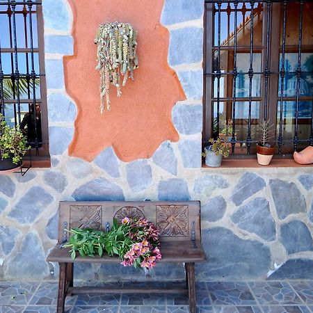 Finquita La Villa Икод де лос Винос Екстериор снимка